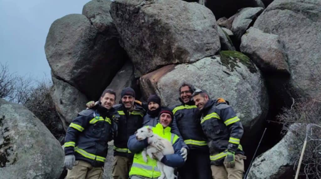 Los bomberos y el dueño de Chispas, felices tras el rescate
