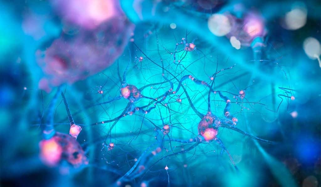 Abren una nueva vía para el tratamiento de lesiones medulares