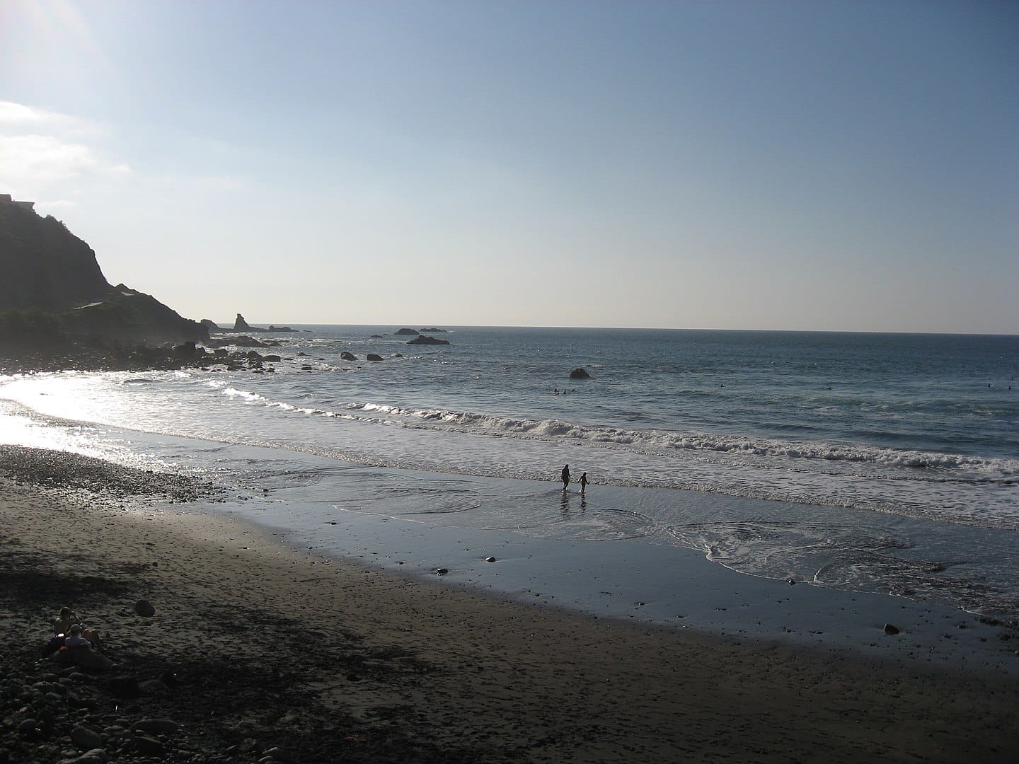 Advierten de bastantes medusas en playas de Santa Cruz