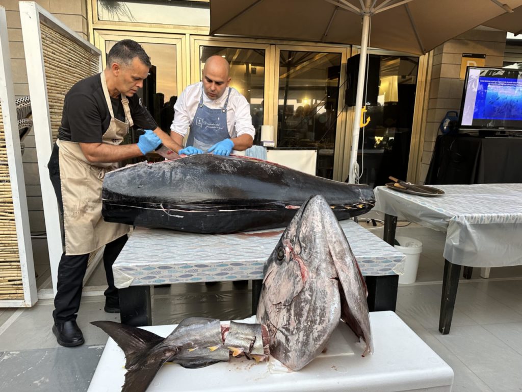 El Ancla (El Médano) consolida sus jornadas anuales del atún
