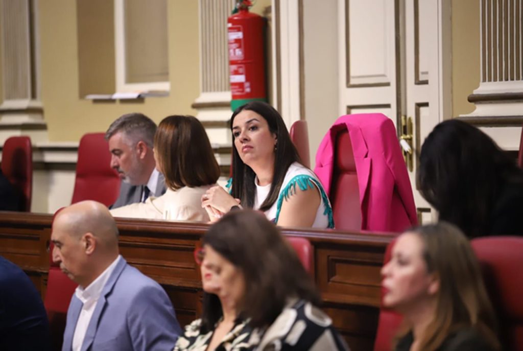 La diputada aridanense Matilde Fleitas (PSOE), ayer, en el Parlamento de Canarias.