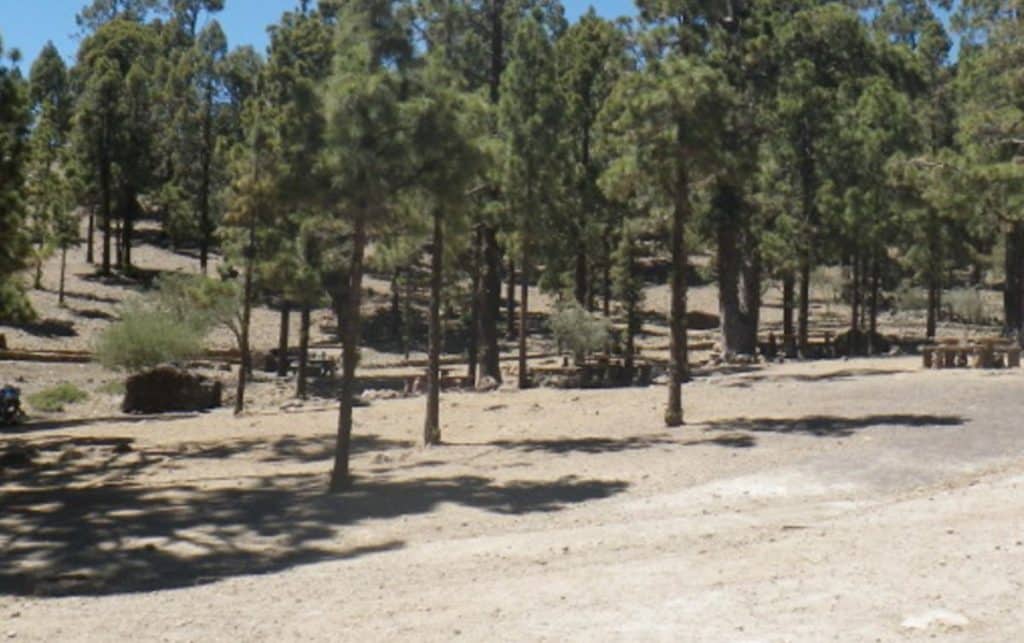 El Cabildo cierra zonas recreativas de Tenerife y prohíbe el acceso al Teide y al monte