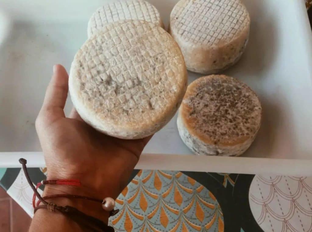 Estos son los dos mejores quesos de Tenerife (lo dicen los expertos)