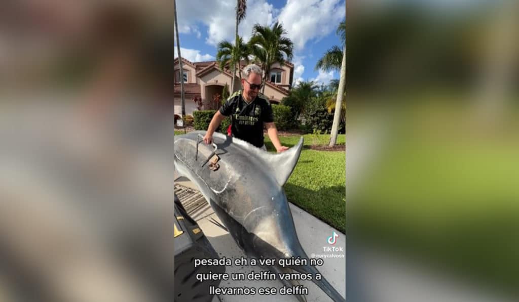 Una española viviendo en EEUU explica las sorprendentes cosas que tiran los americanos a la basura