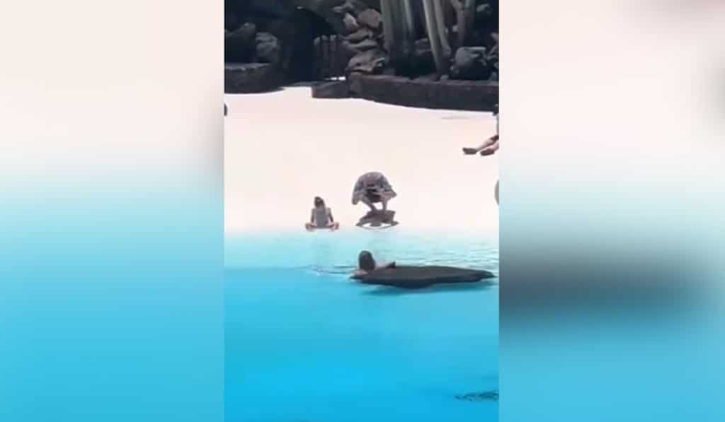 Todo por la foto: otra turista se baña en los Jameos del Agua pese a estar prohibido