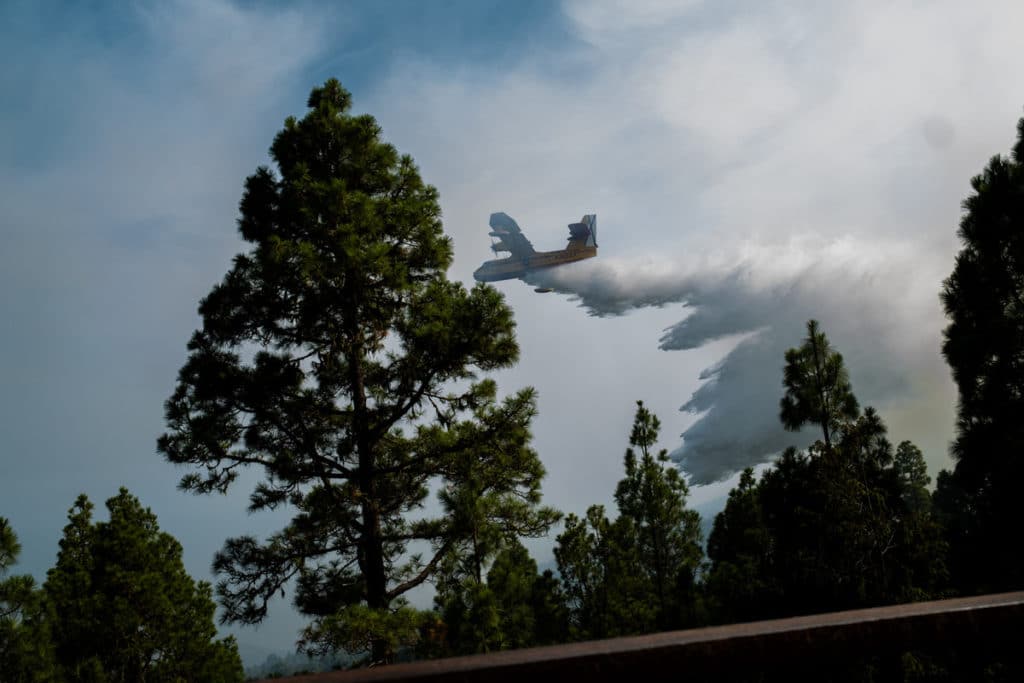 Incendio en Tenerife (Las Lagunetas). Fran Pallero
