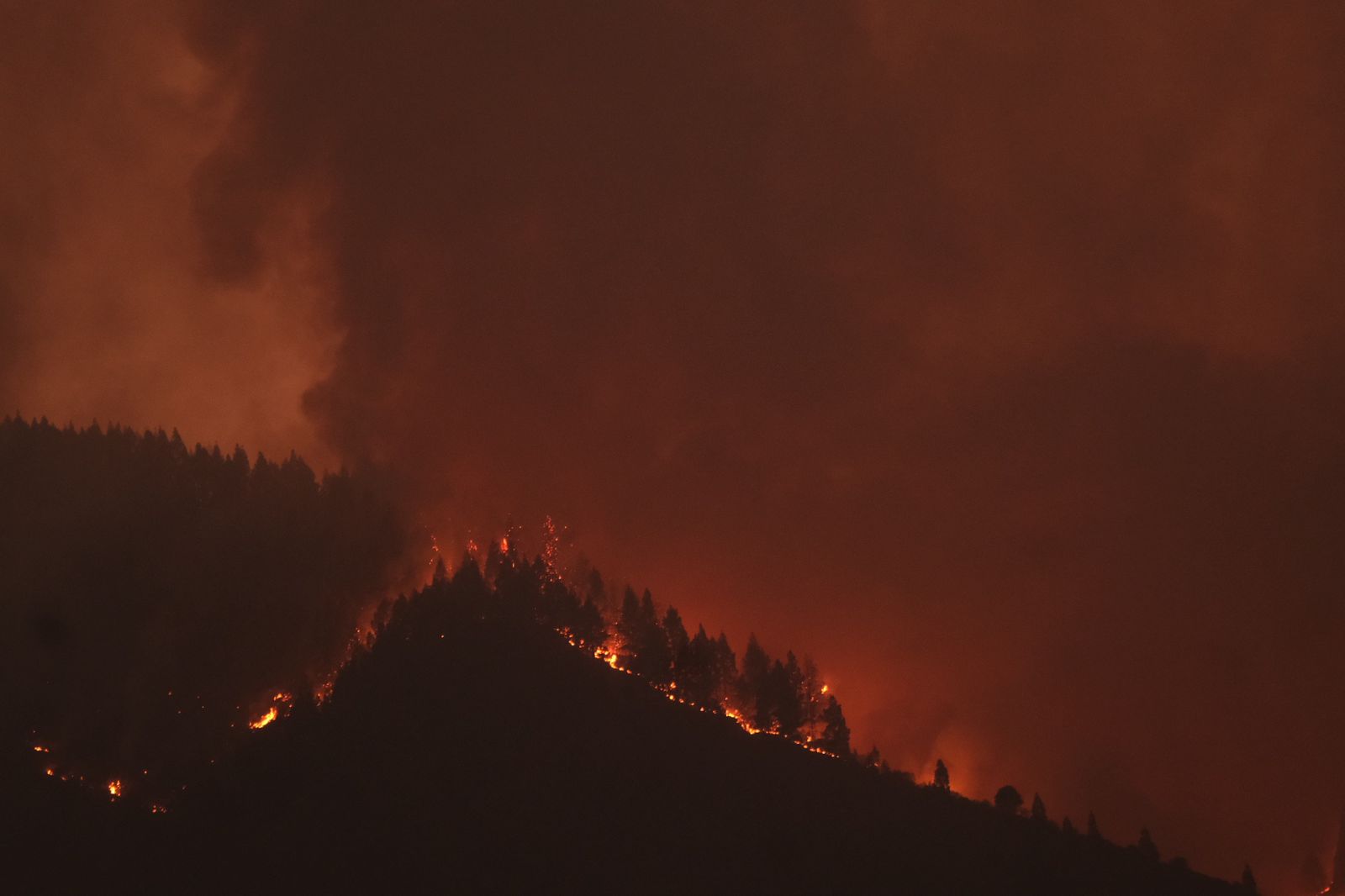 Un incendio "fuera de control" devora el corazón forestal de la isla de Tenerife