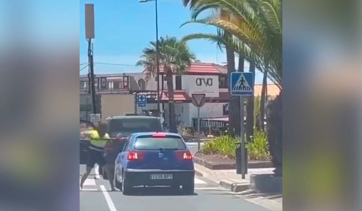 A piñazos, patadas y palos por una pita en el sur de Tenerife
