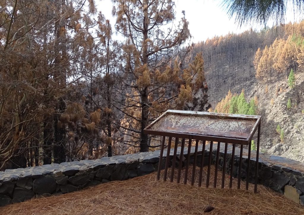 Aspecto del mirador de Lomo Redondo, donde, según los investigadores, donde comenzó hace 35 días el incendio ya controlado, pero aún no extinguido. Norchi