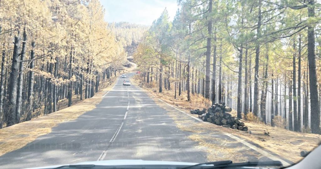Motos, bicicletas y grandes guaguas no podrán subir al Teide hasta diciembre