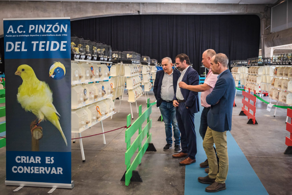 Más de 2.000 aves participarán este fin de semana en el XXVII Certamen Ornitológico que tiene lugar entre el 23 y el 26 de noviembre en el Recinto Ferial de Santa Cruz de Tenerife. El consejero de Industria y vicepresidente de Recinto Ferial, Manuel Fernández, inauguró hoy (jueves 23) este evento que el Cabildo de Tenerife organiza junto a la Asociación de Canaricultores ‘Pinzón del Teide’, cuyo presidente, Carlos Morales adelantó que el Certamen incluye la celebración de XV Monográfico del Melado Tinerfeño Adulto. El evento trae a Tenerife más de 2.000 aves, procedentes de toda Canarias, de las razas canario de color, canarios de postura, exóticos, híbridos, fauna europea y psitácidas. Se trata de una exposición abierta al público y de carácter gratuito. El consejero Manuel Fernández recordó que “la presencia de la canaricultura en Canarias tiene más de 500 años, perviviendo generación tras generación” y destacó que “los canarios son una de las señas de identidad de nuestras islas y con iniciativas de este tipo, reivindicamos la importancia de conservar y promover nuestras tradiciones”, a lo que agregó que “también queremos poner de manifiesto que es fundamental la tenencia responsable de animales”.
