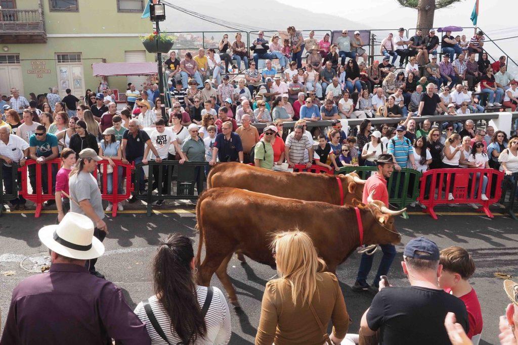 Cerca de 8.000 personas llegaron al municipio para bendecir a sus animales y participar de la feria de ganado más antigua de la Isla. Sergio Méndez