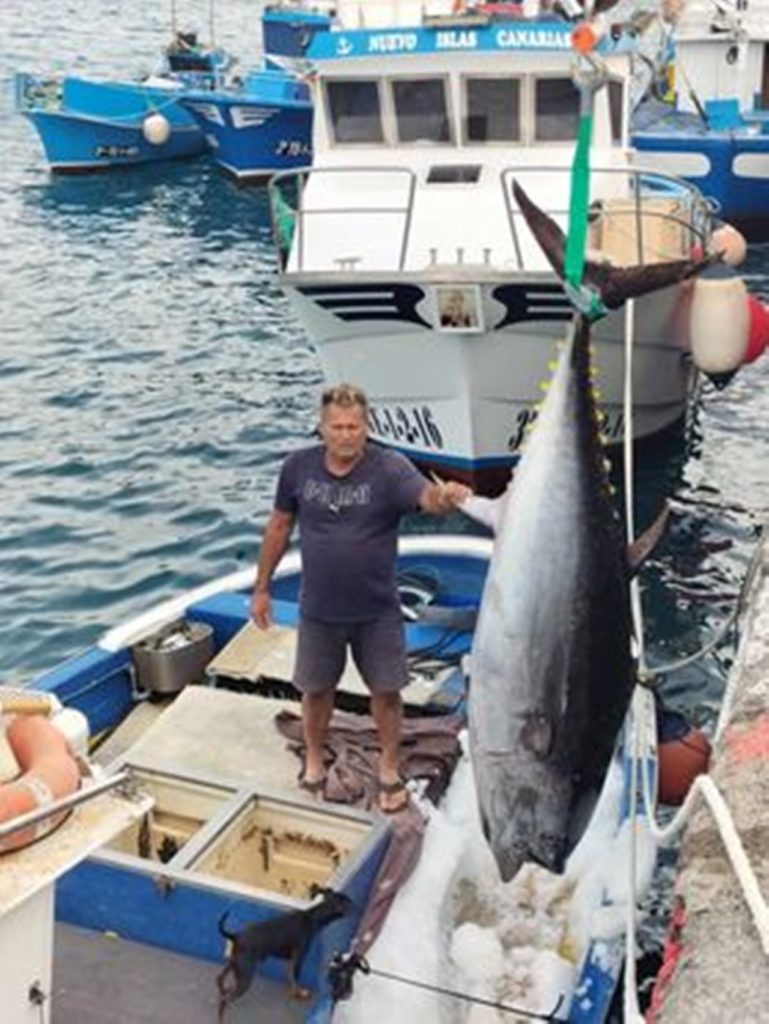 La espectacular captura del primer patudo en aguas de Tenerife