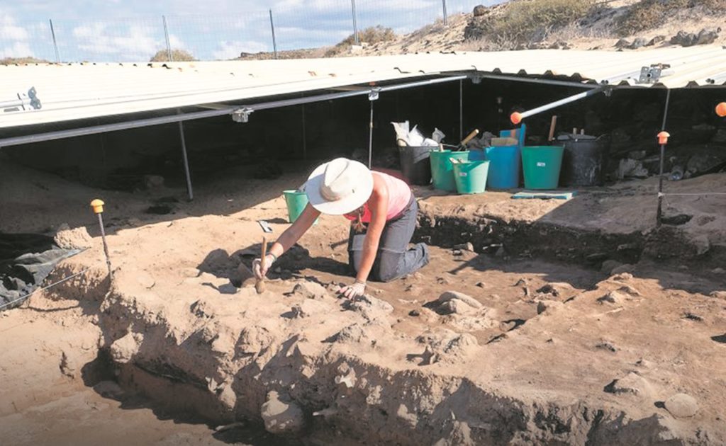 El descubrimiento en 2012 en la isla de Lobos de un yacimiento con un taller romano de producción de púrpura ha revolucionado el estudio del origen de los canarios. ULL