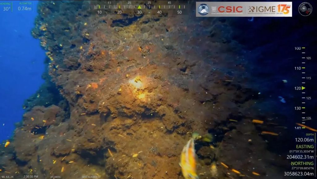 Imagen captada por el robot submarino de los investigadores españoles en el monte Los Atlantes. IGME