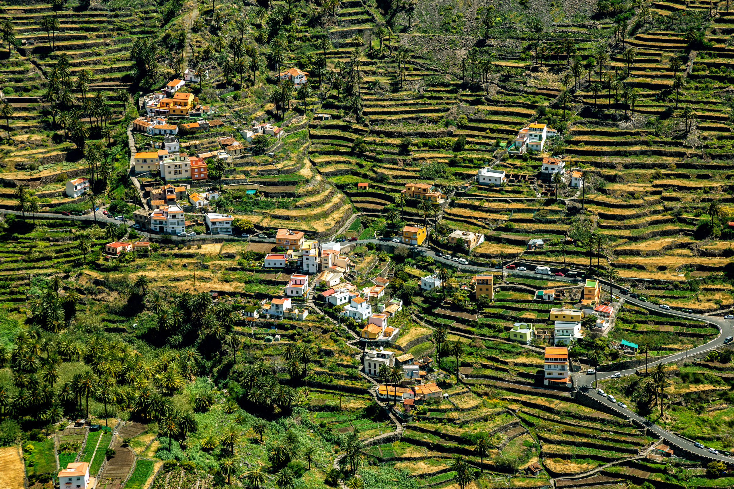 Bancales La Gomera