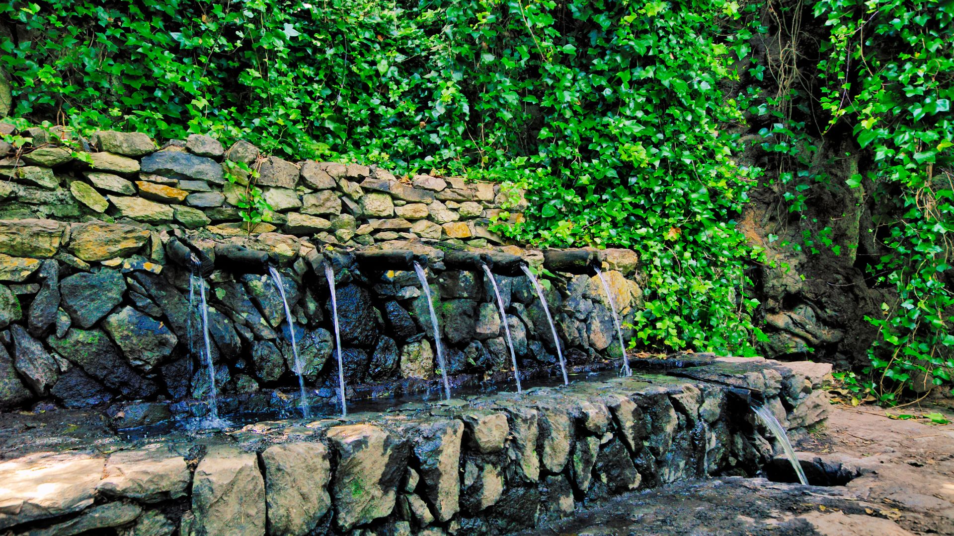 Chorros de Epina, Vallehermoso. La Gomera.