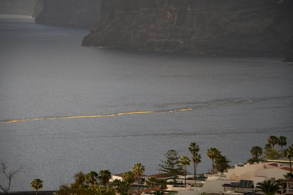 Algas en el sur de Tenerife. Eduardo García