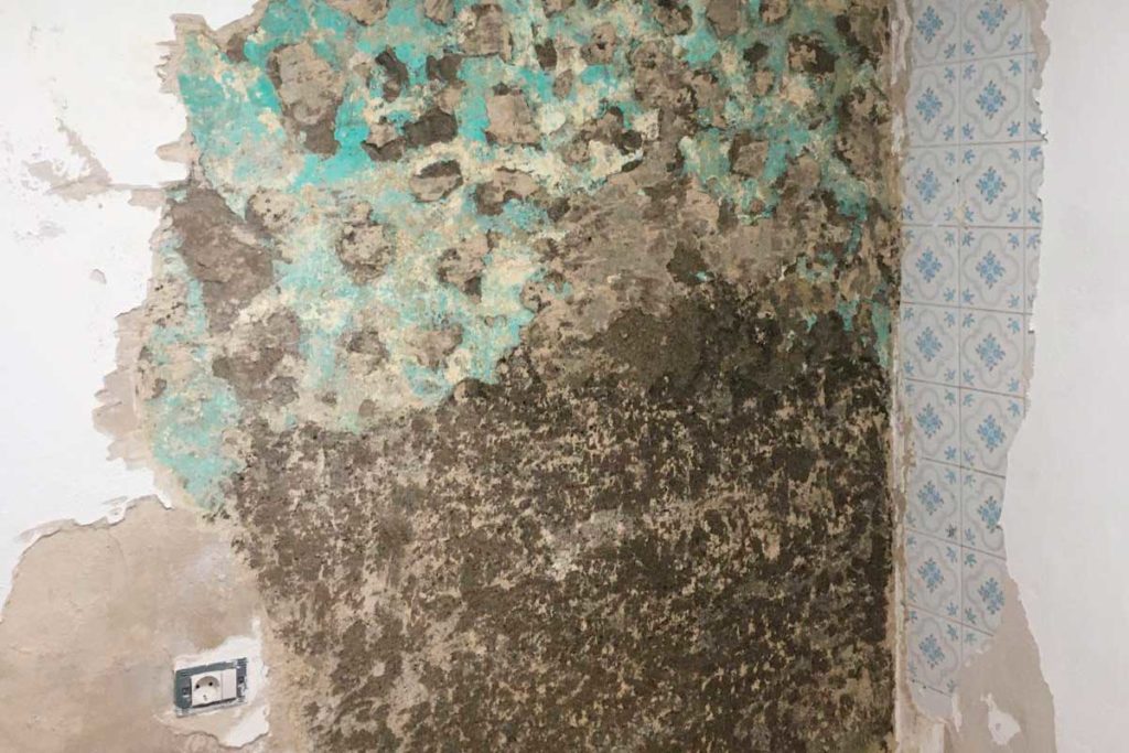 Humedades en casas, solares con basura y ratas y cien escalones: el SOS de La Ladera de San Andrés