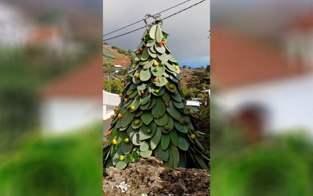 El árbol navideño más original de Canarias está hecho con tuneras y se encuentra en un caserío 'diminuto'