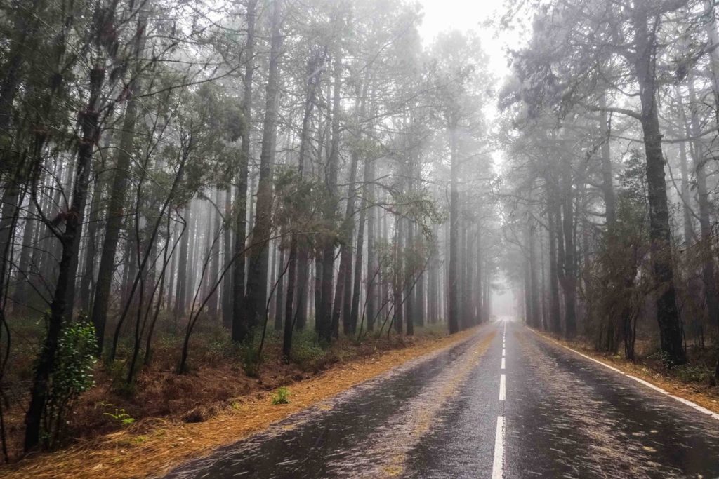 Imágenes del mal tiempo este jueves en Tenerife. | Sergio Méndez