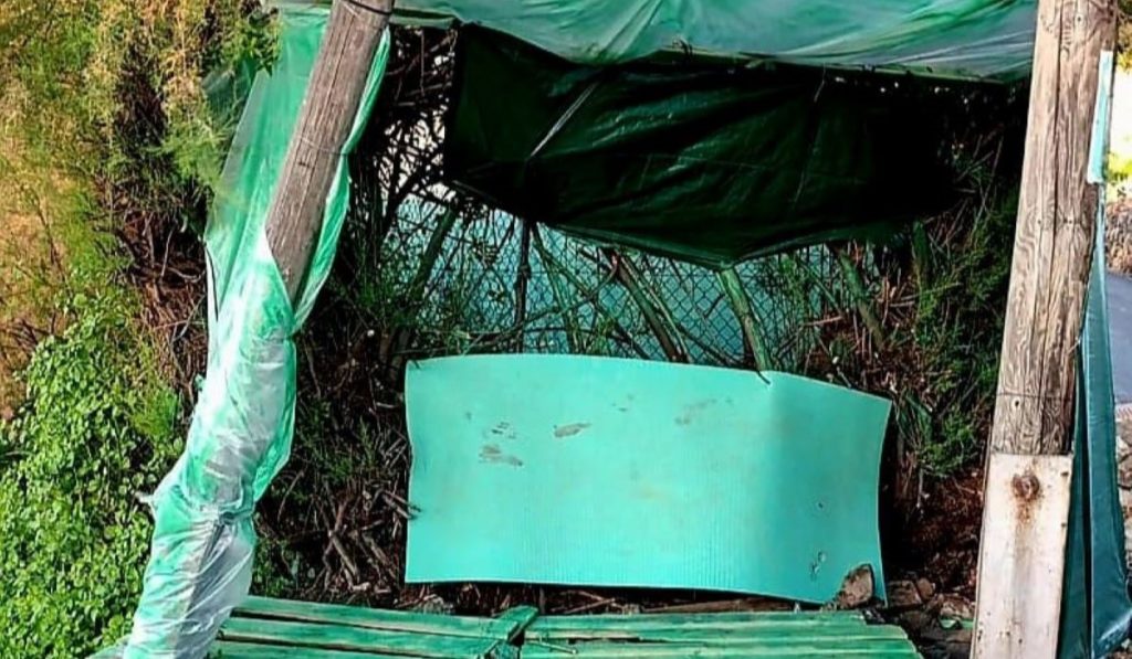 Tenerife Residents Build Own Bus Shelter After 25-Year Wait for Official Action