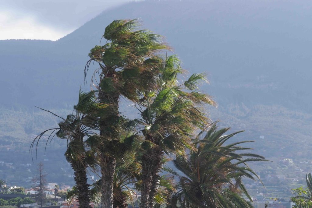 Carreteras cortadas, apagones y desprendimientos: más de 300 emergencias en Canarias por el paso de la borrasca Therese