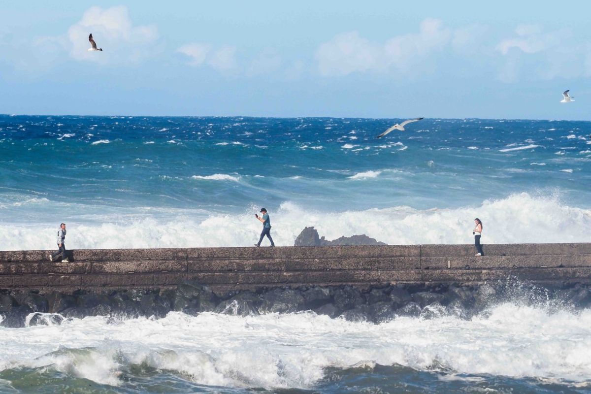 Olas de hasta cinco metros en Puerto de la Cruz. | Sergio Méndez