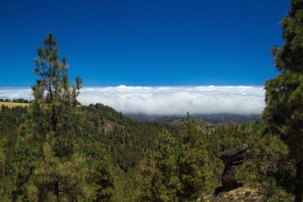 Imagen de la panza de burro (nubes bajas) cubriendo la ciudad de Las Palmas de Gran Canaria, ilustrando la previsión de la Aemet de cielos nubosos y lluvias