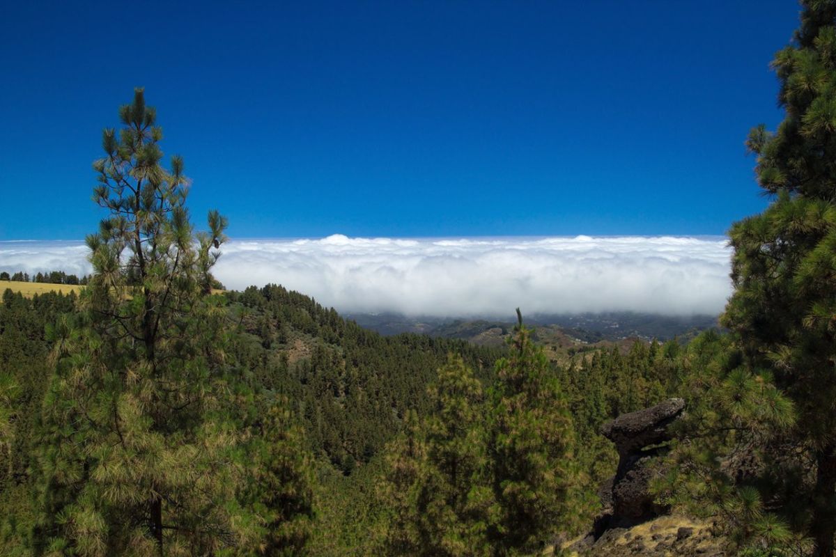 Imagen de la panza de burro (nubes bajas) cubriendo la ciudad de Las Palmas de Gran Canaria, ilustrando la previsión de la Aemet de cielos nubosos y lluvias