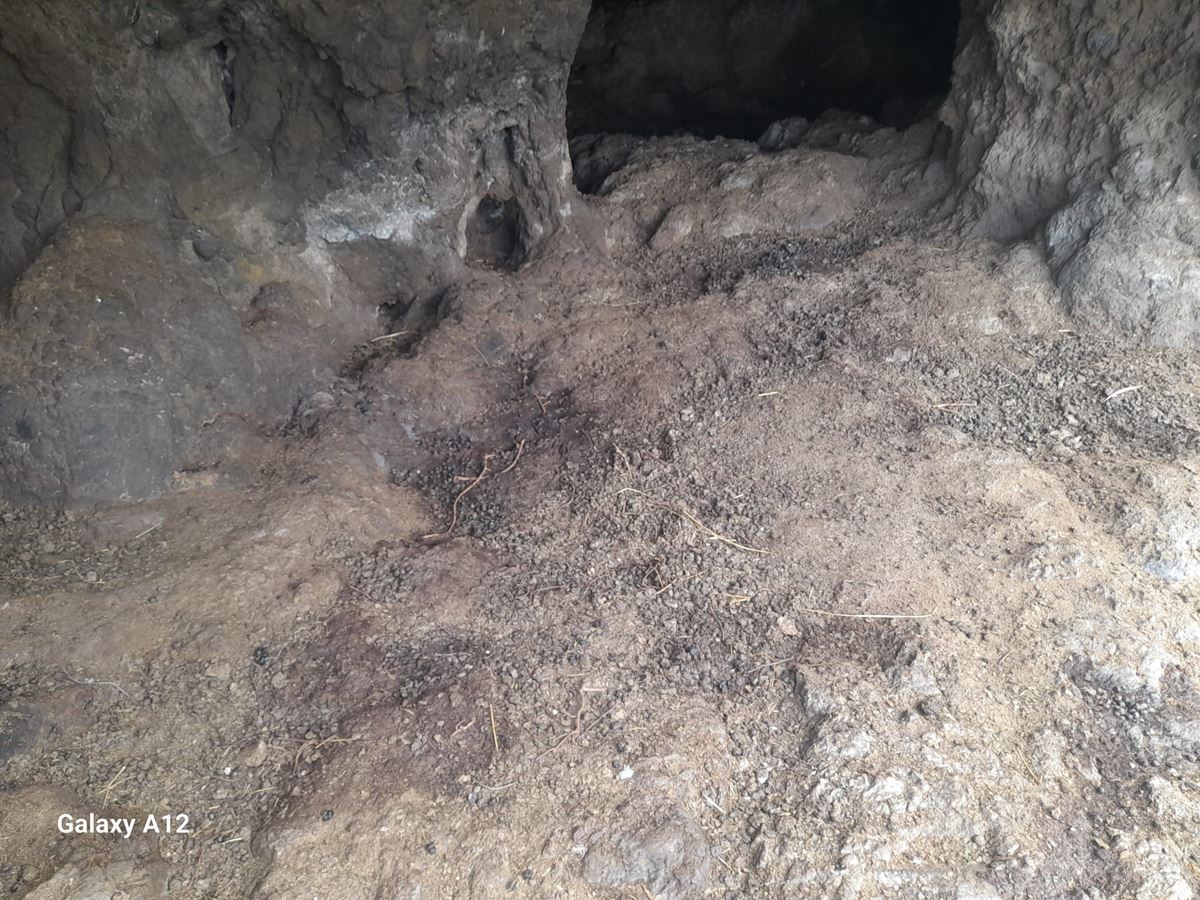 De residencia del Mencey a redil de cabras: la vergonzosa profanación de la Cueva de Bencomo