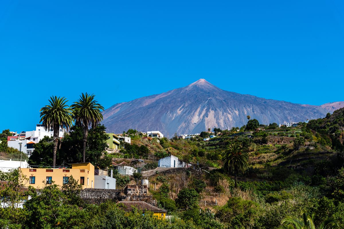 El municipio de Tenerife que esconde un árbol milenario, tiene la mejor vista del Teide y casi acaba destruido