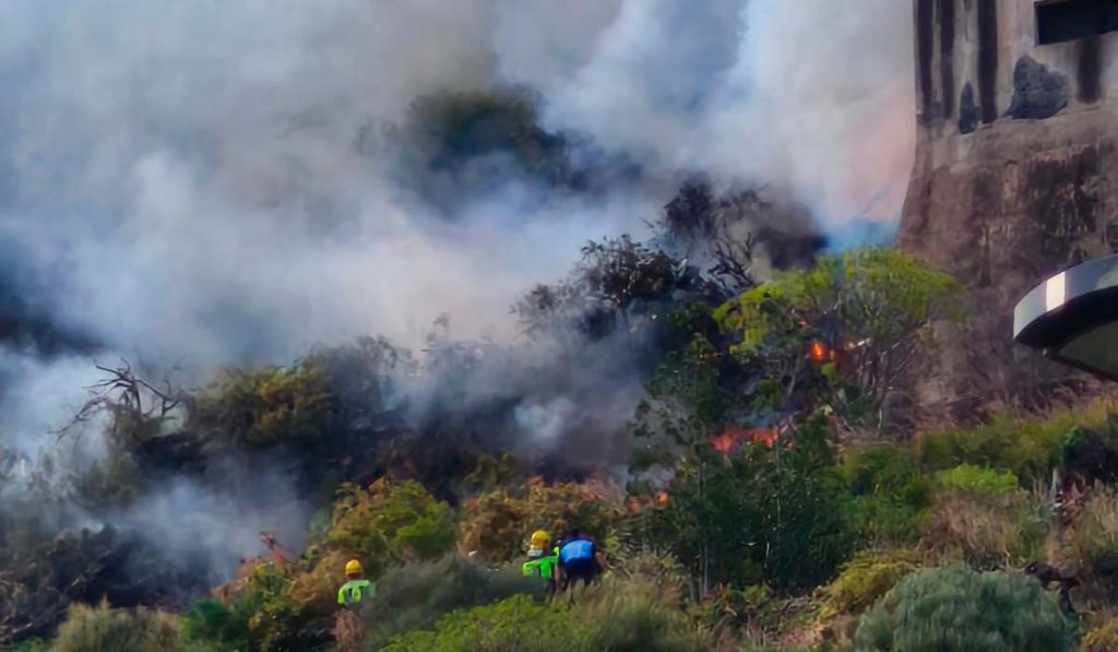 Alerta por un incendio en Santa Cruz de La Palma