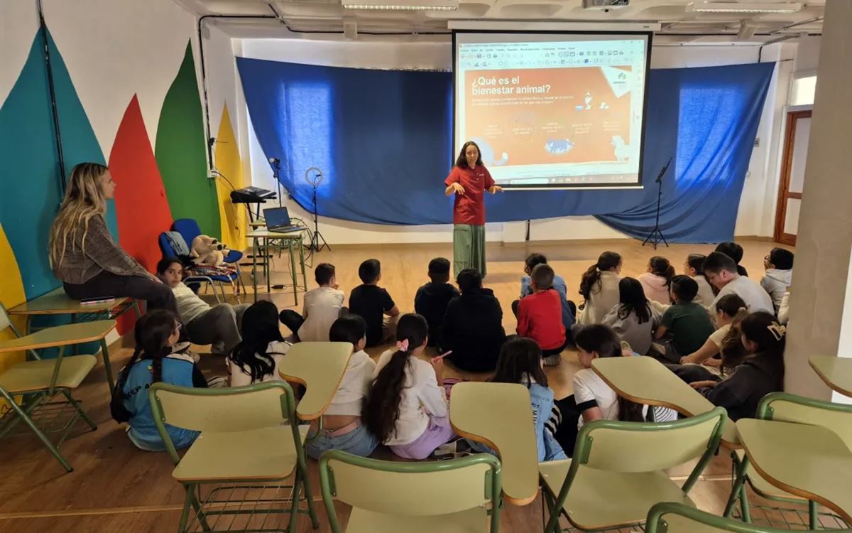 Estos son los 11 mejores colegios públicos de Canarias: acaban de ser premiados