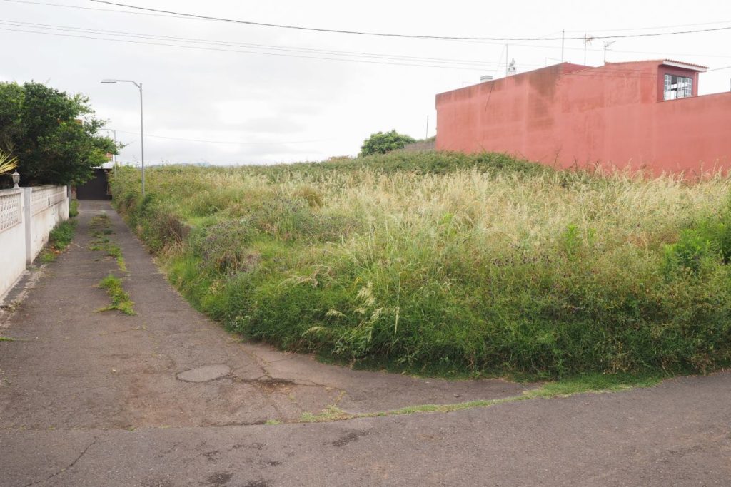 Alertan del riesgo que supone un solar abandonado frente a viviendas en Tacoronte