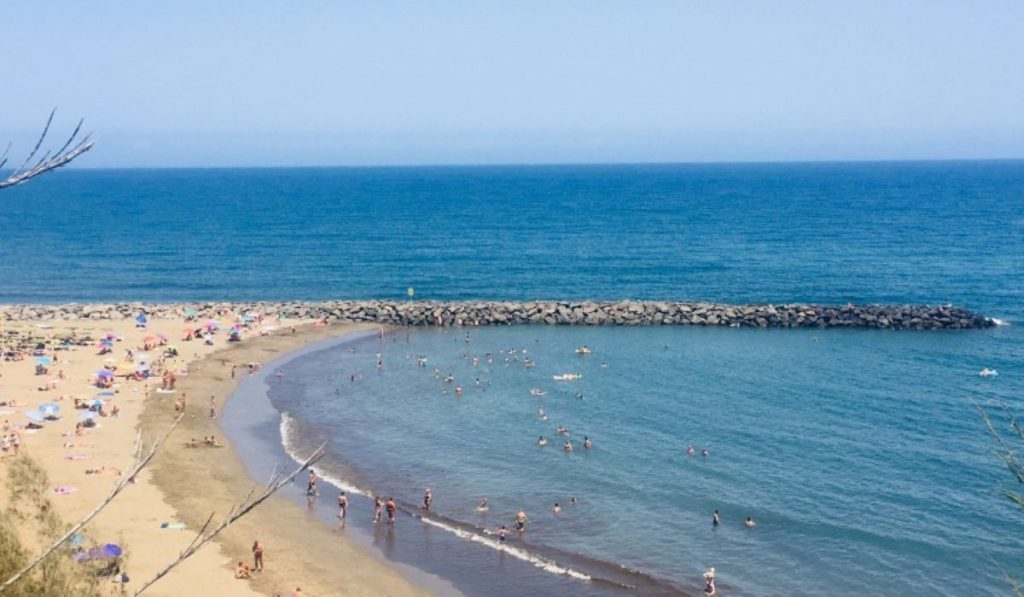 El Gobierno canario adjudicó la macrogranja marina en Adeje a espaldas del Ministerio y en zona protegida de delfines y tortugas