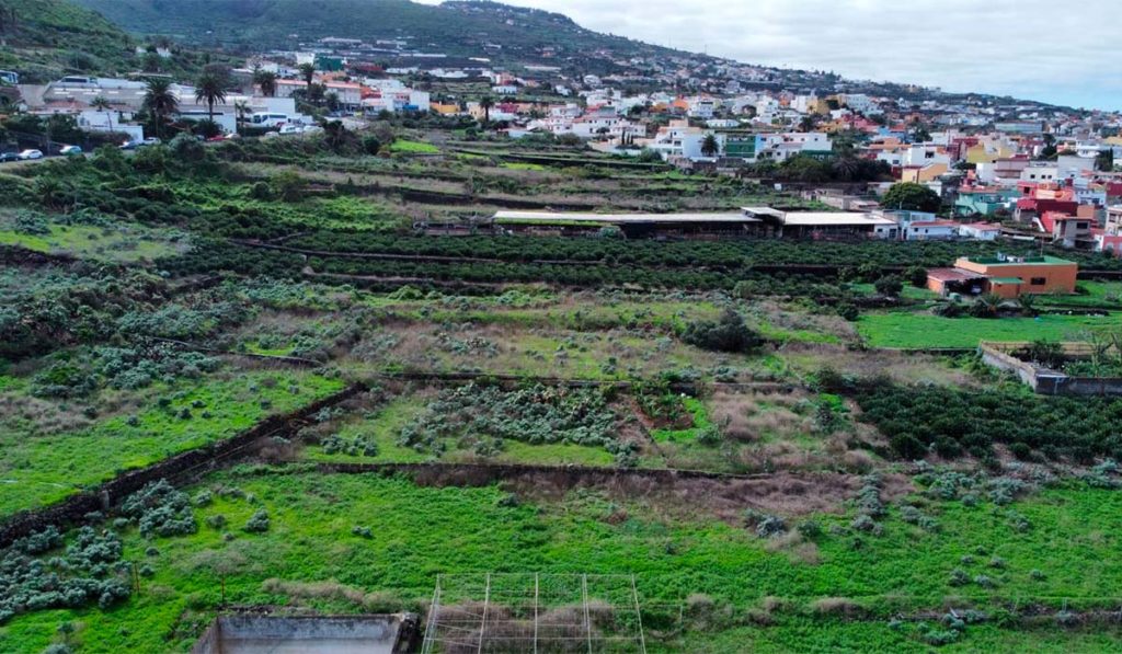 El Ayuntamiento de La Laguna colabora con el parque agrícola de Valle de Guerra
