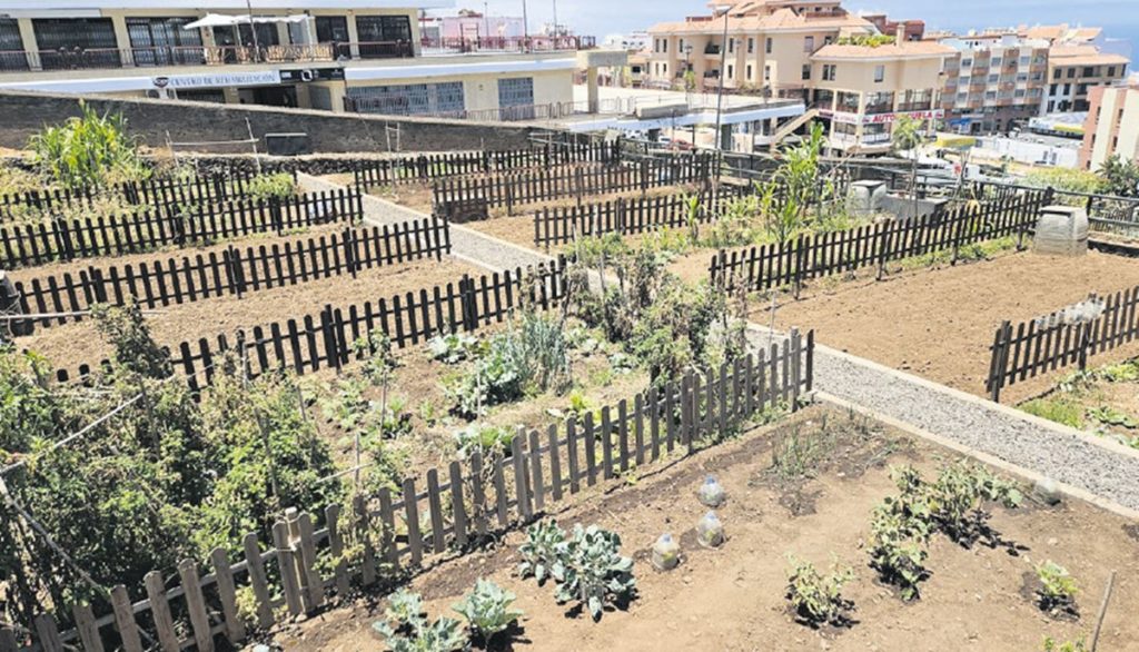 Plazo y requisitos para solicitar los huertos ecológicos de La Orotava este verano