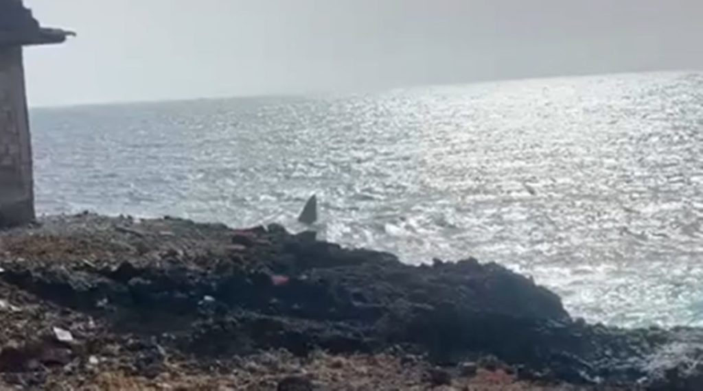 La embarcación semisumergida localizada a unos 50 metros de la costa de Güímar y vigilada por la Policía Local y Salvamento Marítimo. | Instagram (norchijeb)