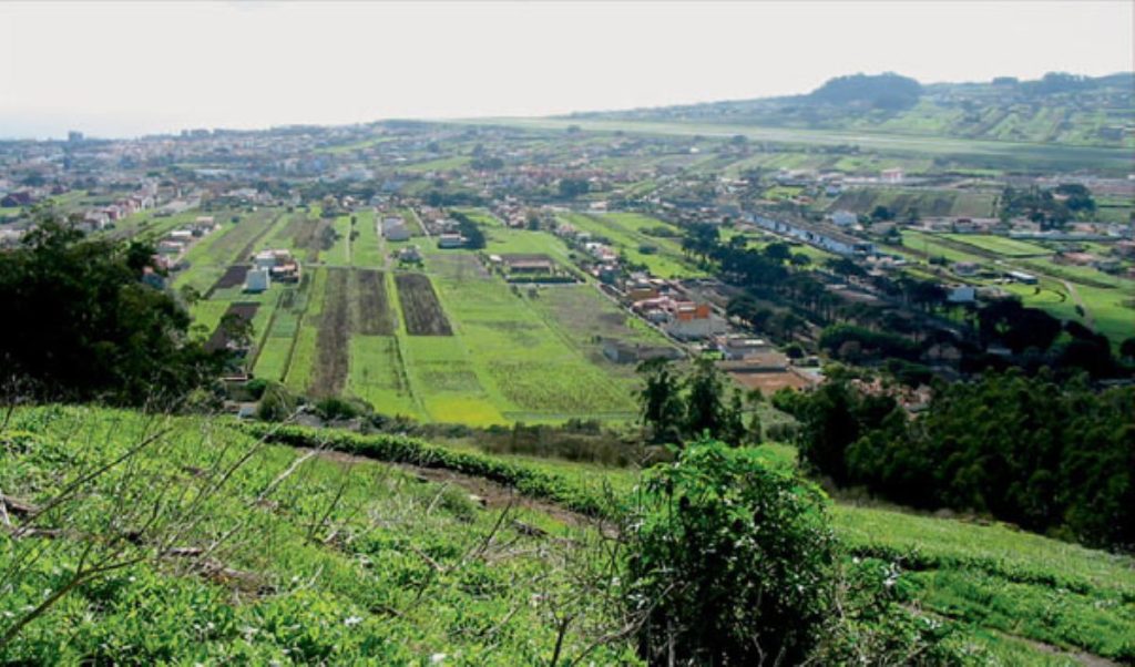 Cambios en el tráfico este fin de semana en La Laguna: tramos y horarios