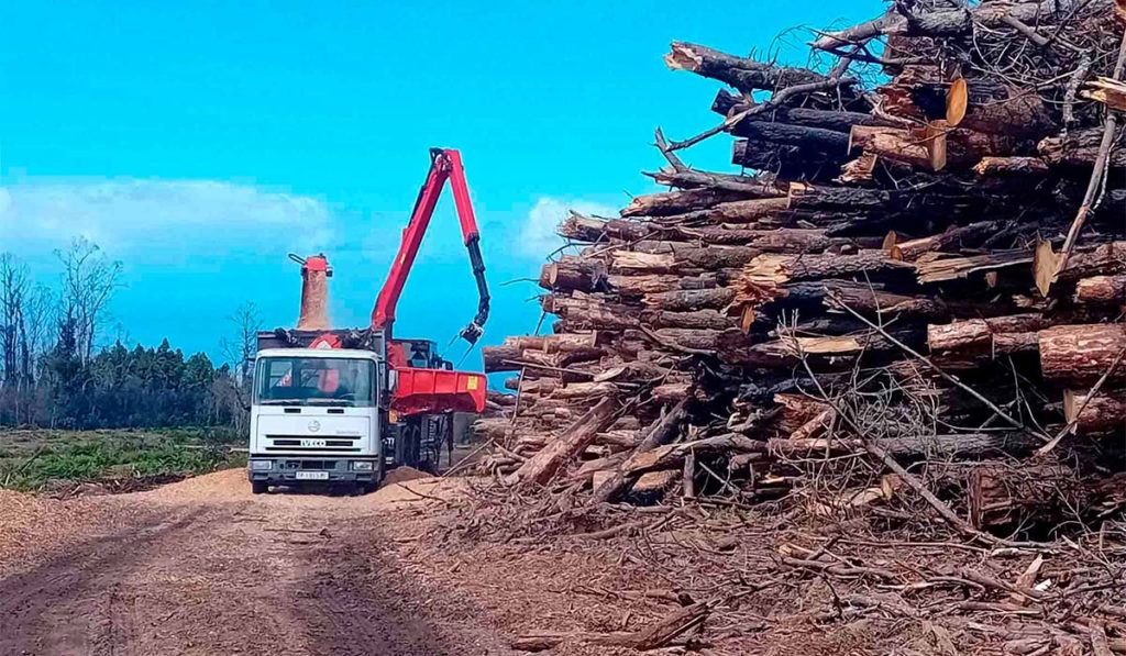 Tenerife aprovecha los restos del gran incendio de 2023 para ayudar al sector agrícola y ganadero