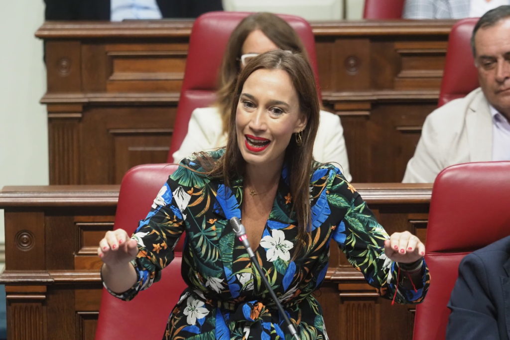 Nira Fierro insta a Manuel Dom&iacute;nguez a que d&eacute; la cara y se implique en los &ldquo;grandes acuerdos de Canarias&rdquo;