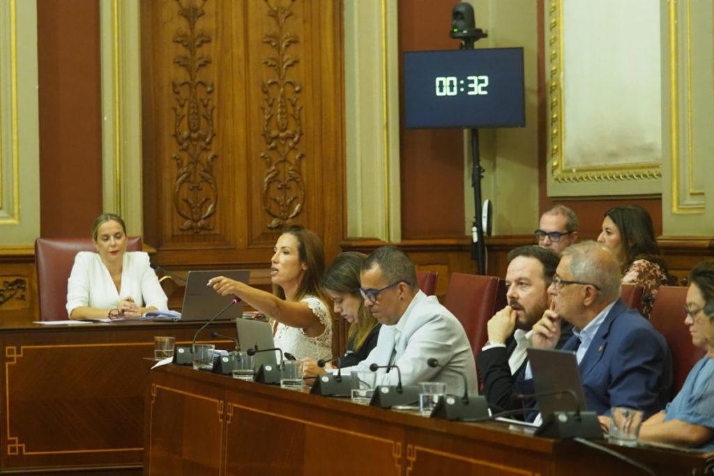 El PSOE: &ldquo;El Ayuntamiento de Santa Cruz paga por un servicio de limpieza que no se est&aacute; prestando&rdquo;