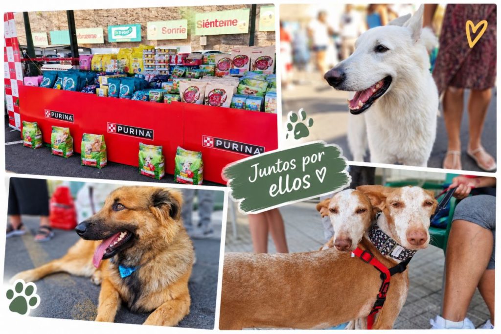 Purina y Tu Trébol celebran la X edición de su desfile solidario para promover la adopción responsable de mascotas en Tenerife