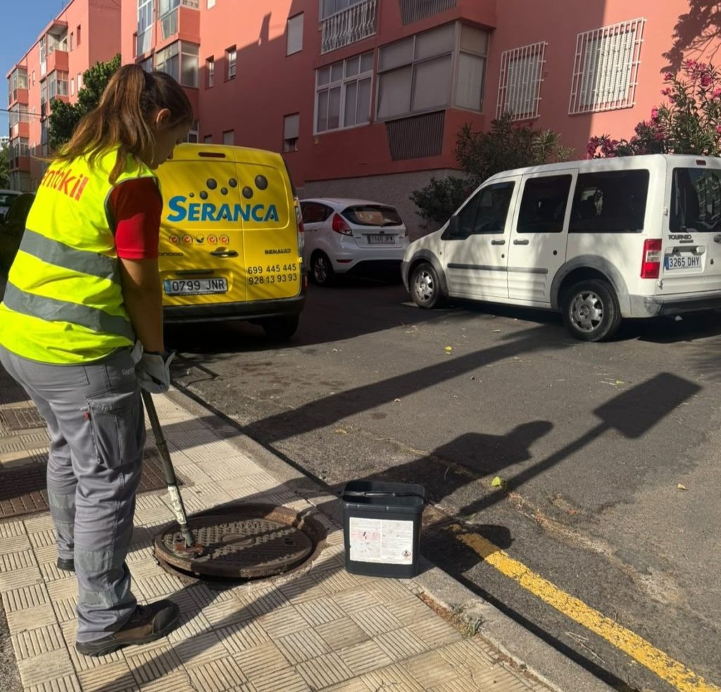 Control de plagas en Santa Cruz: cinco barrios actuarán contra las ratas y cucarachas