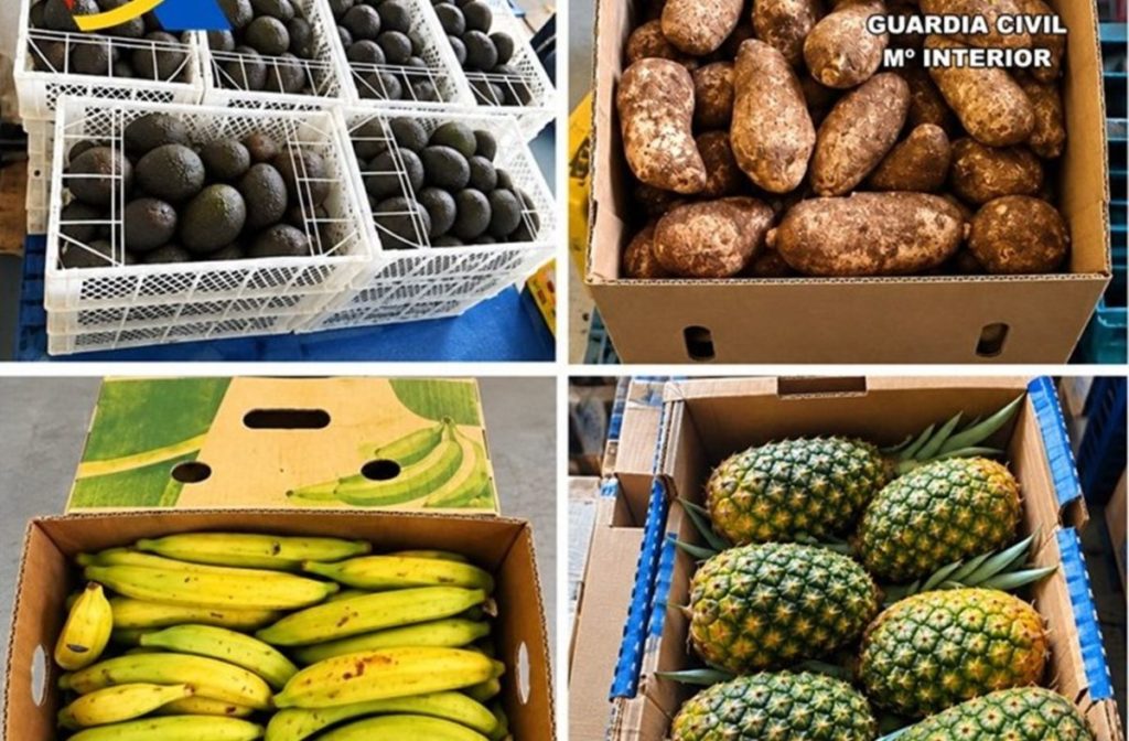 La Guardia Civil interviene dos toneladas de fruta tropical &lsquo;prohibida&rsquo; en el puerto de Santa Cruz de Tenerife