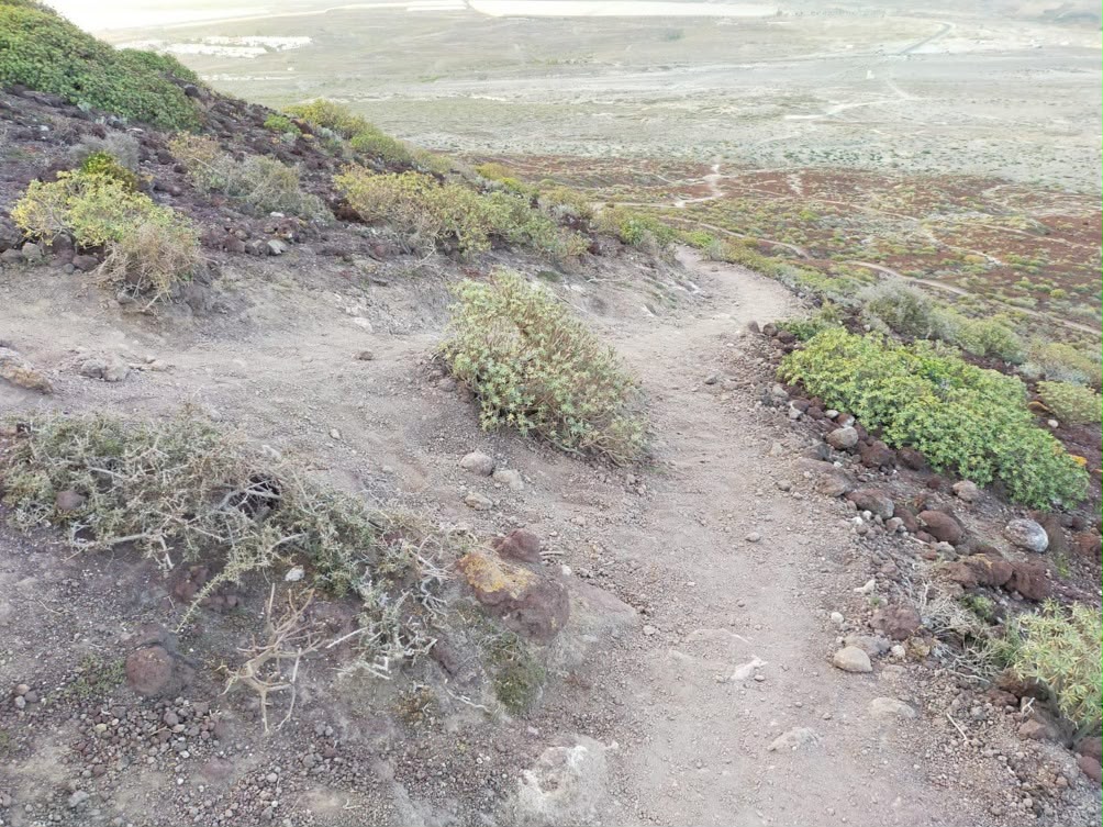 Ecologistas alertan del deterioro &ldquo;irreversible&rdquo; de la Monta&ntilde;a Roja de El M&eacute;dano y exigen vigilancia