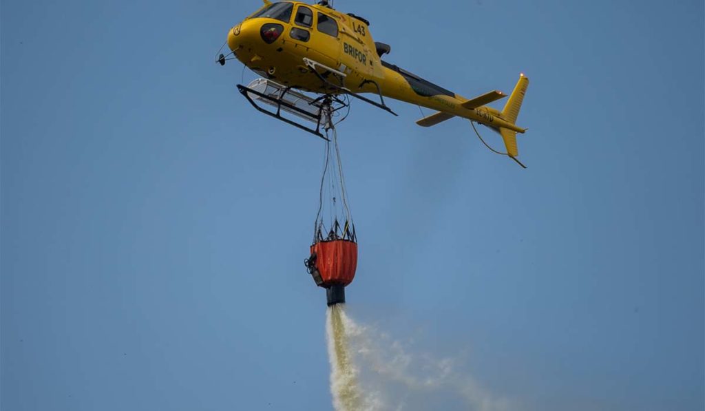 El PSOE denuncia el fin anticipado del trabajo de 120 empleados de prevención de incendios en Tenerife