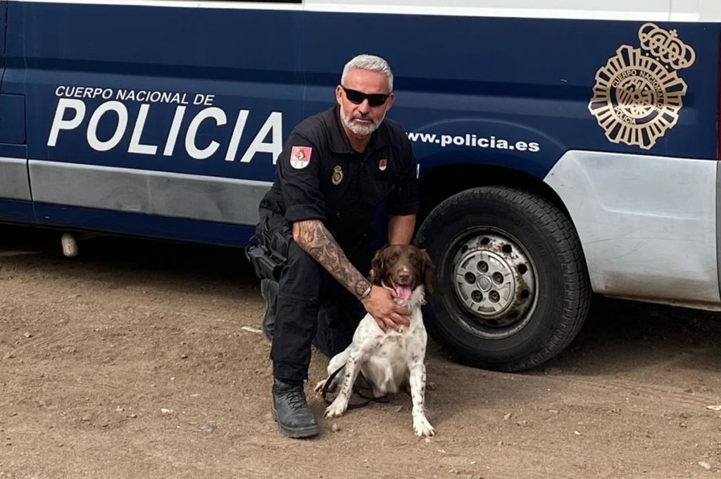 Rony, el perro de la Policía Nacional que encontró a dos desaparecidos en Canarias y ayudó en la DANA