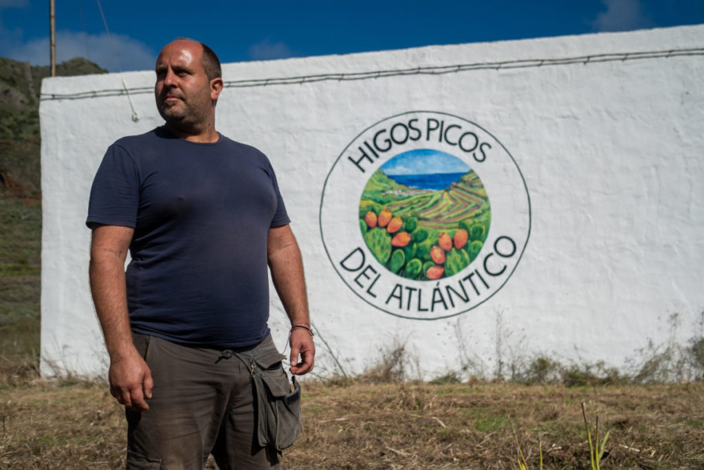 &Aacute;ngel Amaro, el agricultor de Tenerife que quiere llevar el higo pico a Alemania: &ldquo;Es mi mayor fuente de ingresos&rdquo;